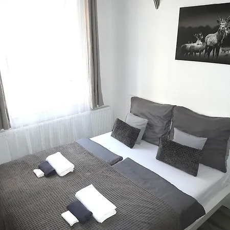Belvarosi * Miškovec